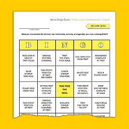 Bingo Yellow Hm English