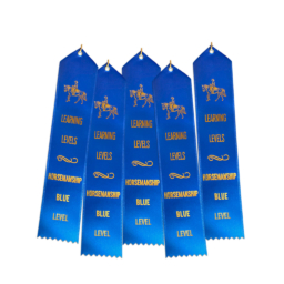 Ll Ribbons Hm Set Of 5 Blue Western