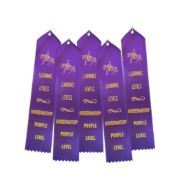 Ll Ribbons Hm Set Of 5 Purple Western