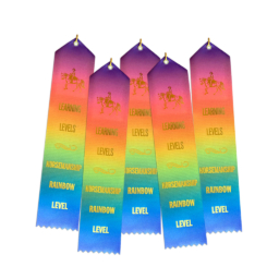 Ll Ribbons Hm Set Of 5 Rainbow Western