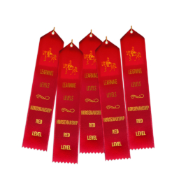 Ll Ribbons Hm Set Of 5 Red Western