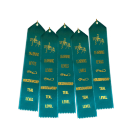 Ll Ribbons Hm Set Of 5 Teal Western