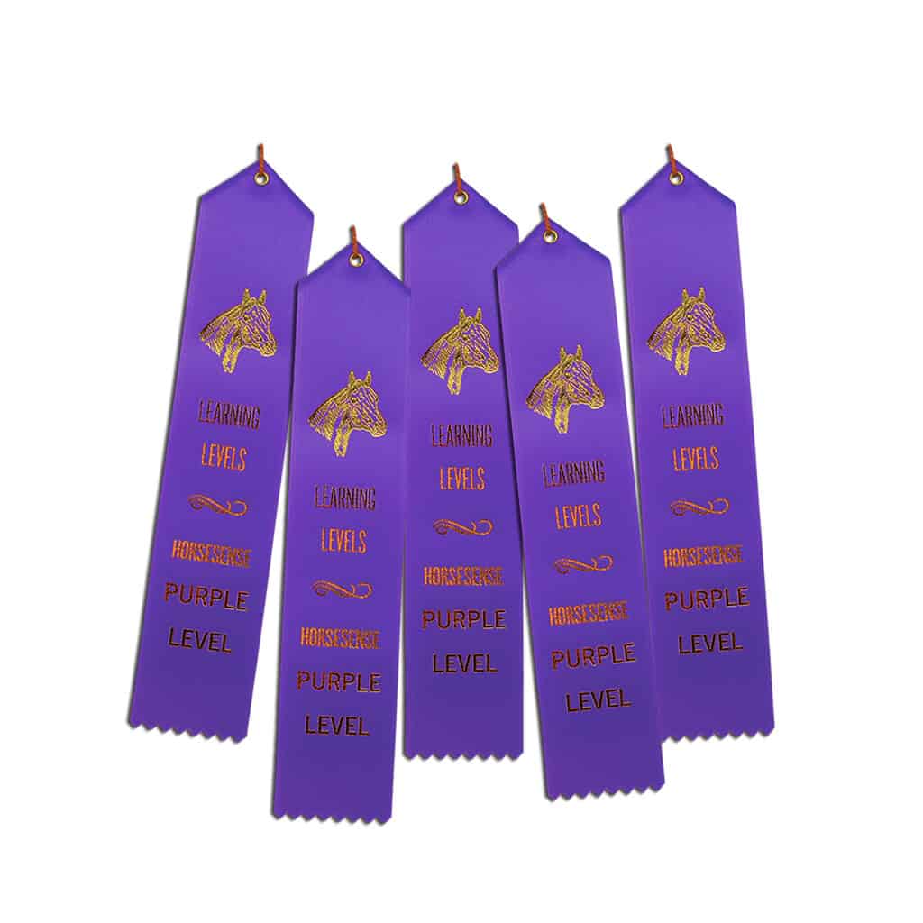 5 ribbons for Purple HS