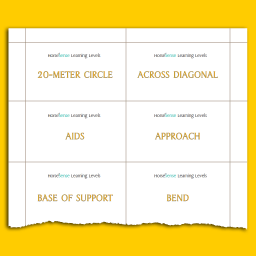 Level Up flashcards - Yellow HM - sample page