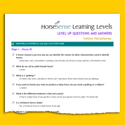 Sample page of Yellow HorseSense questions and answers