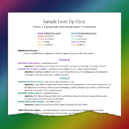 Level Up Clinics - sample schedule - partial page