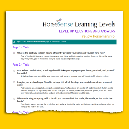 Yellow HM Level Up questions sample page