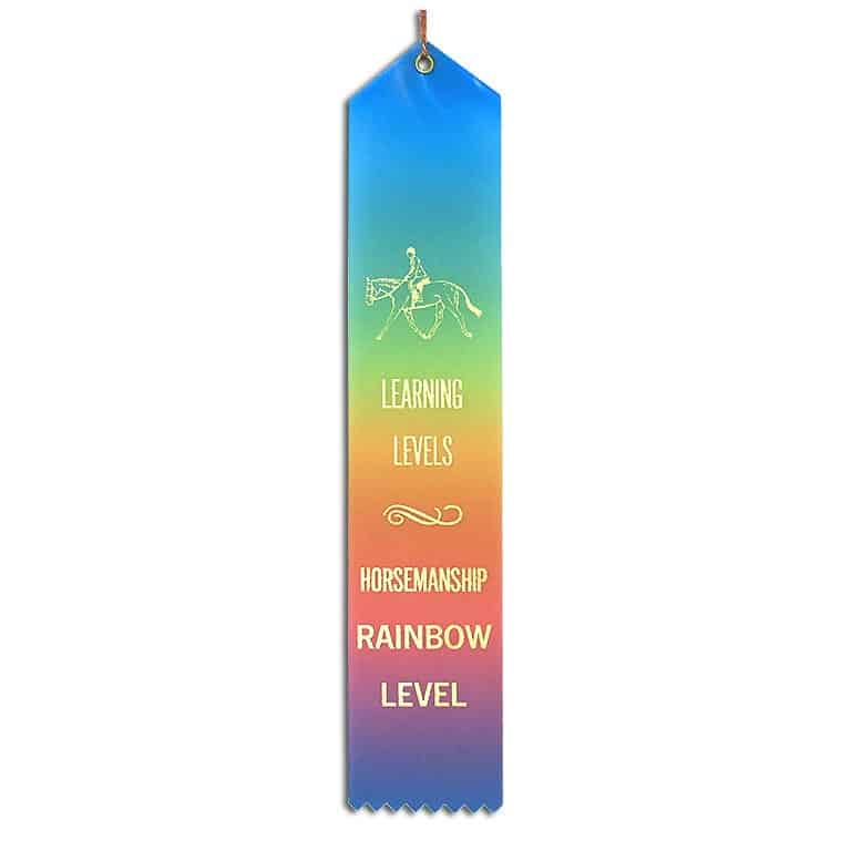 Rainbow HM ribbon