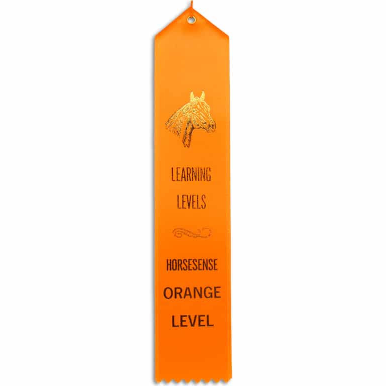orange HS ribbon