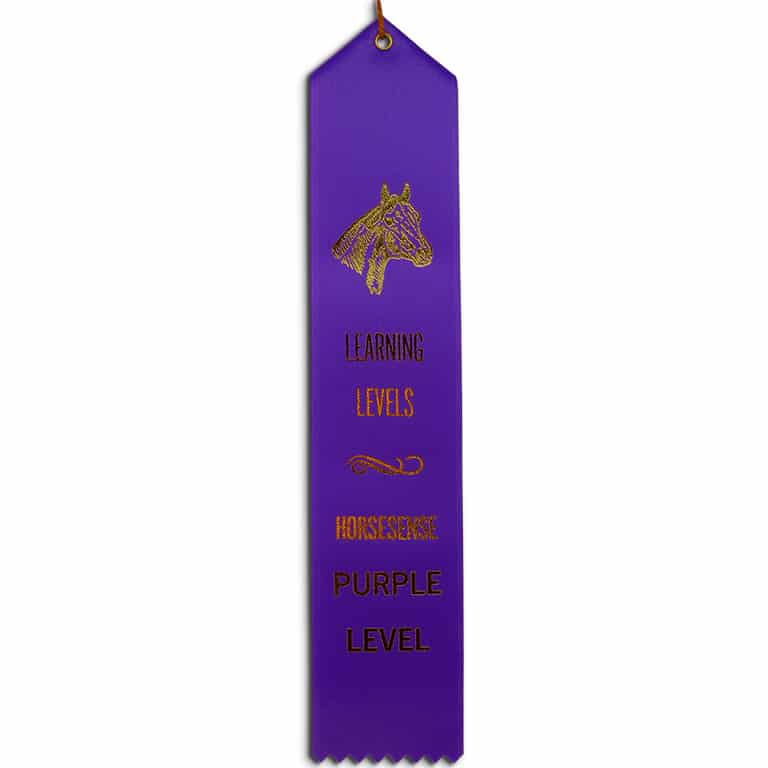 purple HS ribbon