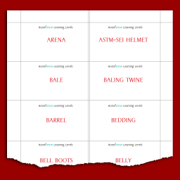 sample equine terms cards for Red HS