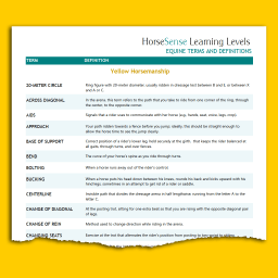 sample page of Yellow HM terms and definitions