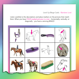 sample BINGO card for Rainbow Level equine terminology