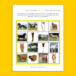 sample Yellow Level BINGO card with pictures of equine breeds, colors, and markings