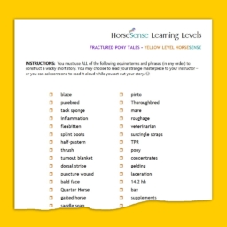partial list of equine terms for Fractured Pony Tales worksheet