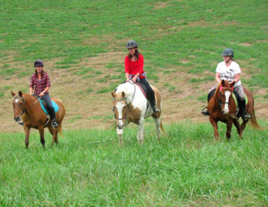 three riders walking horses up a steep pasture hillside