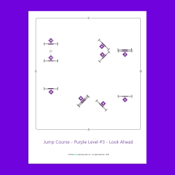 sample jump course map for Purple Level Horsemanship