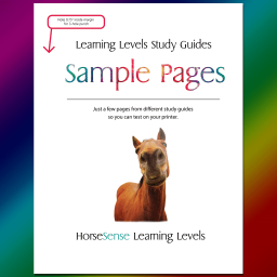 learning-levels-study-guides_sample