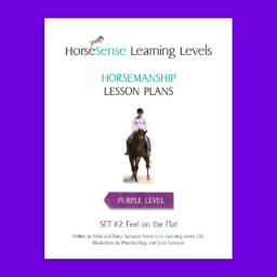 Lesson Plans Purplehm Set2