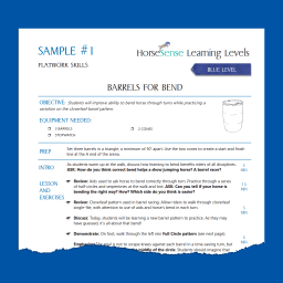 sample page from blue level lesson plans
