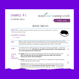 sample page from purple level lesson plans