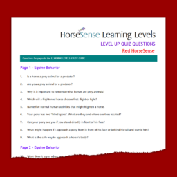 list of quiz questions for Red HorseSense Level - partial page