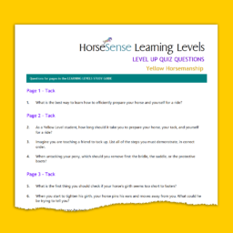 page of quiz questions for Yellow Level Horsemanship
