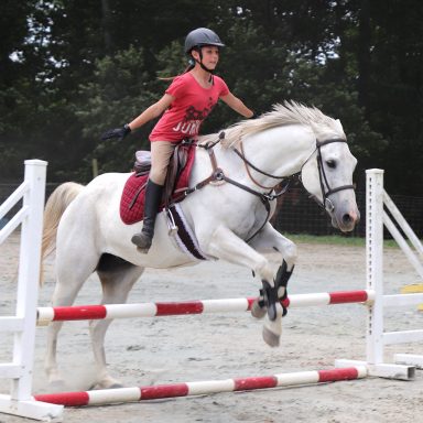 student jumping horse without stirrups or reins for No-stirrup November