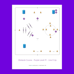 sample obstacle course map for Purple Level Horsemanship
