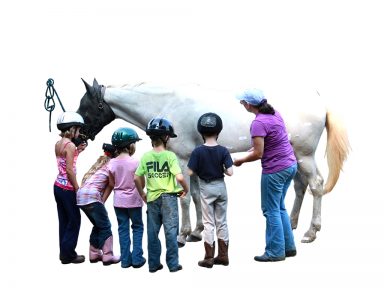 instructor using labels on horse to teach pony parts