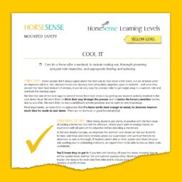 first page of Yellow HorseSense Teaching Guide - Cool It