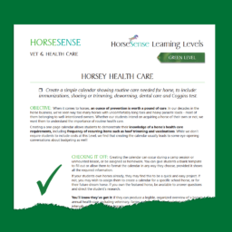 Green HorseSense Teaching Guide - Horsey Health Care page